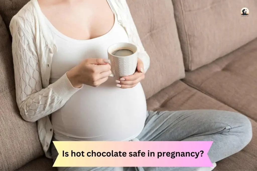 Is hot chocolate safe in pregnancy